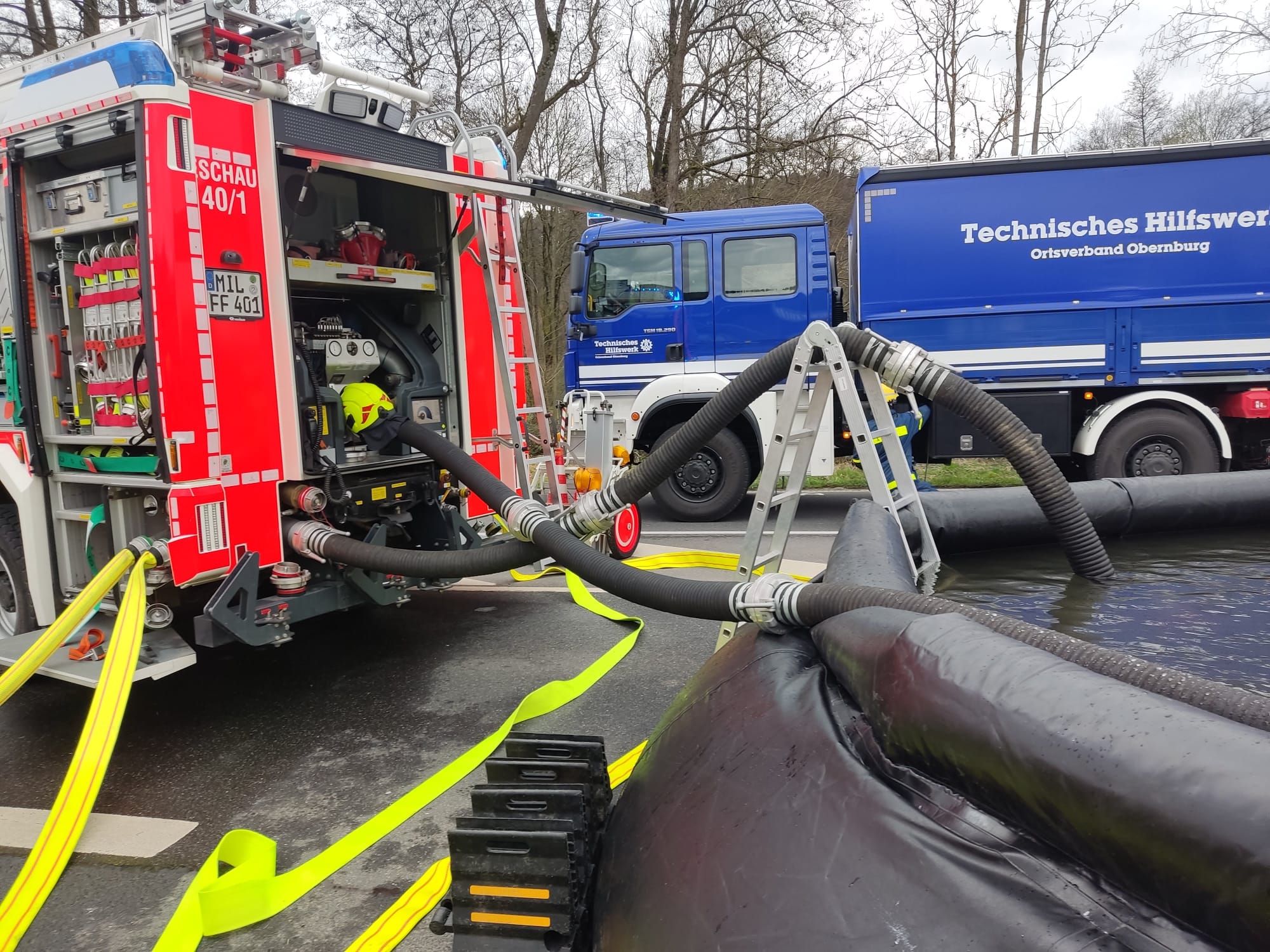 WhatsApp Image 2024-03-19 at 13.16.57